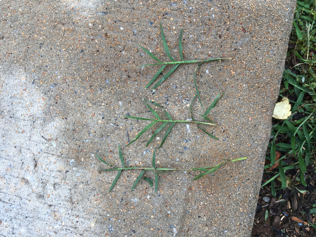 40A00885-55A9-4404-B793-3B20D57743CE