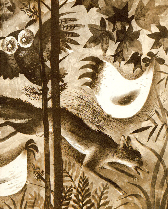 5318638498_75b7ca8396_o