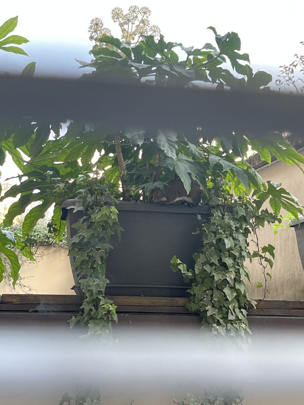 2AF4D928-A842-4780-9B67-109E5FE89E5C