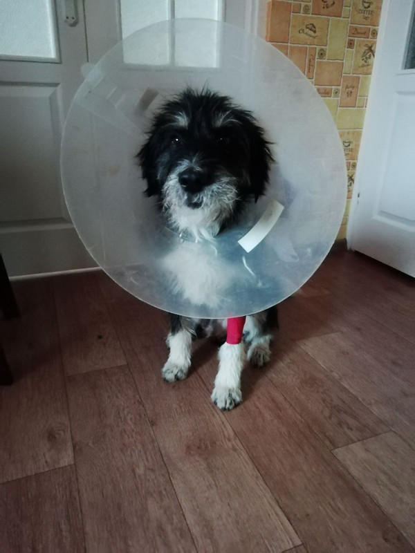 56360249-CFC0-4BE0-8722-6438194882B1