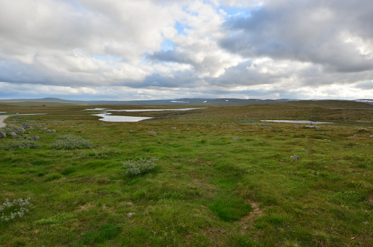 ETAPA 9- Cascada Vøringfossen - Hardangervidda - Noruega 10 días de cabañas y con niños (6)