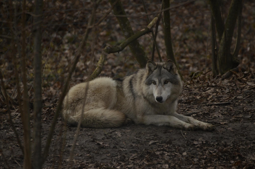 6571CAFC-97BF-4769-B28C-1BED09BE55A7