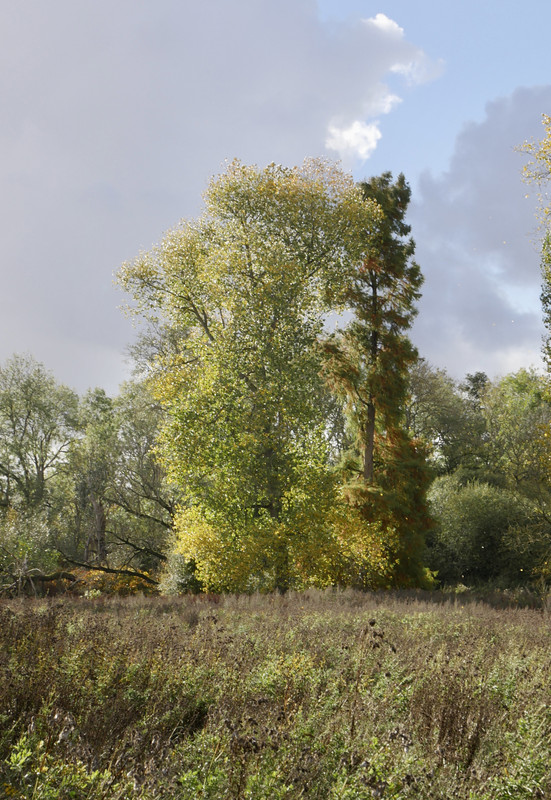 1A693174-49AE-4830-AC7F-6AE87B8120D3