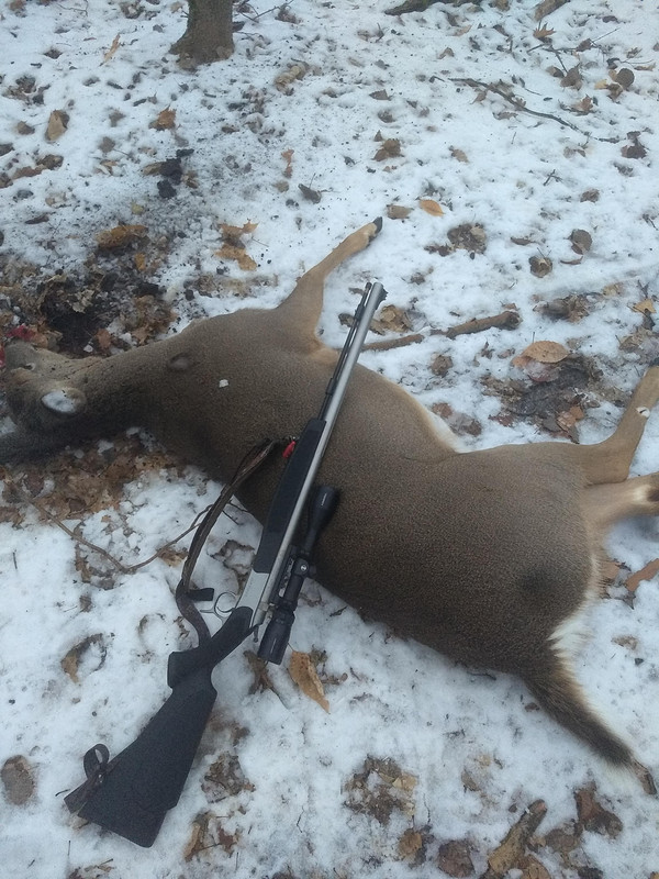 IMG_20201206_074836567