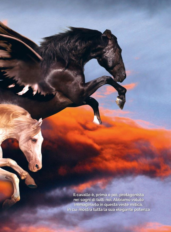 Il Mio Cav (Giu 2023) 2jpg