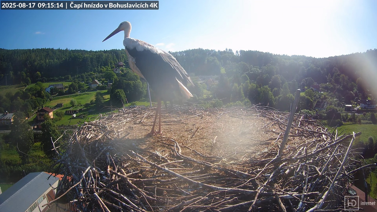Tiešraide no KARA uzņēmuma stārķu skursteņa Bohuslavicē netālu no Trutnovas 11-13-43 screenshot