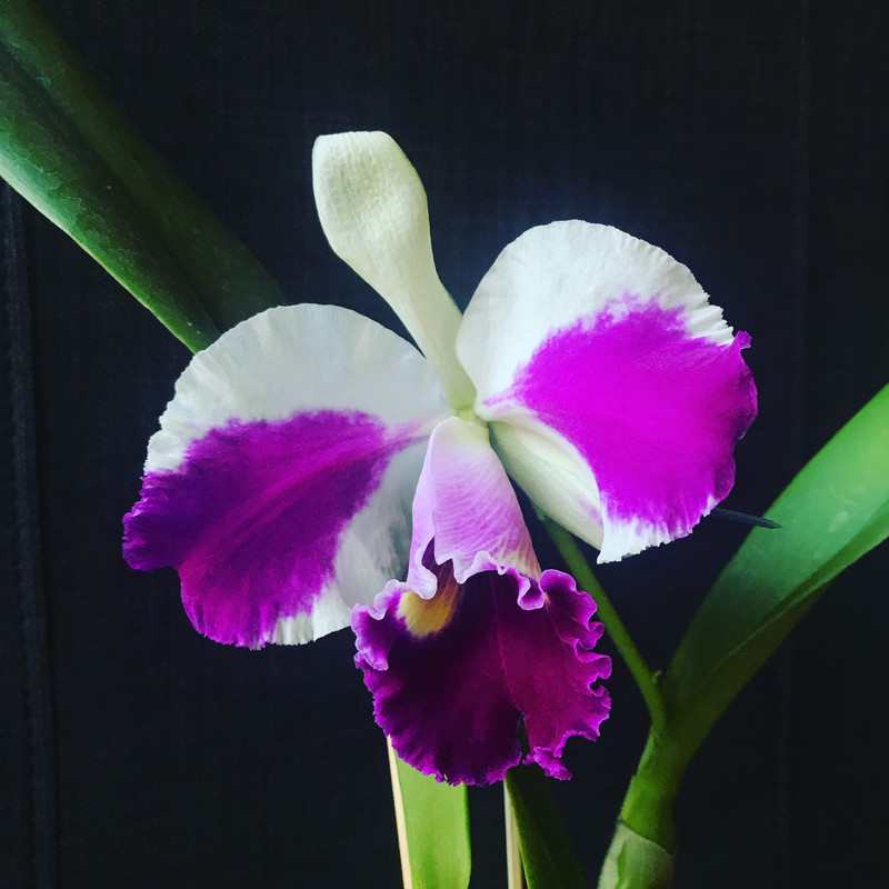 91192CBE-DBE4-49AE-8596-8074CAACB92B