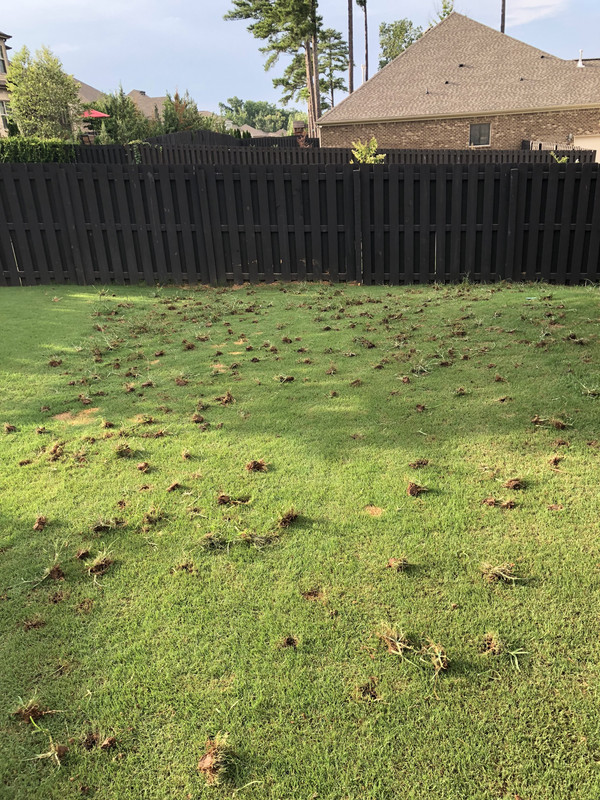 32AB1168-6B49-4A56-BA16-ADC51E04382E