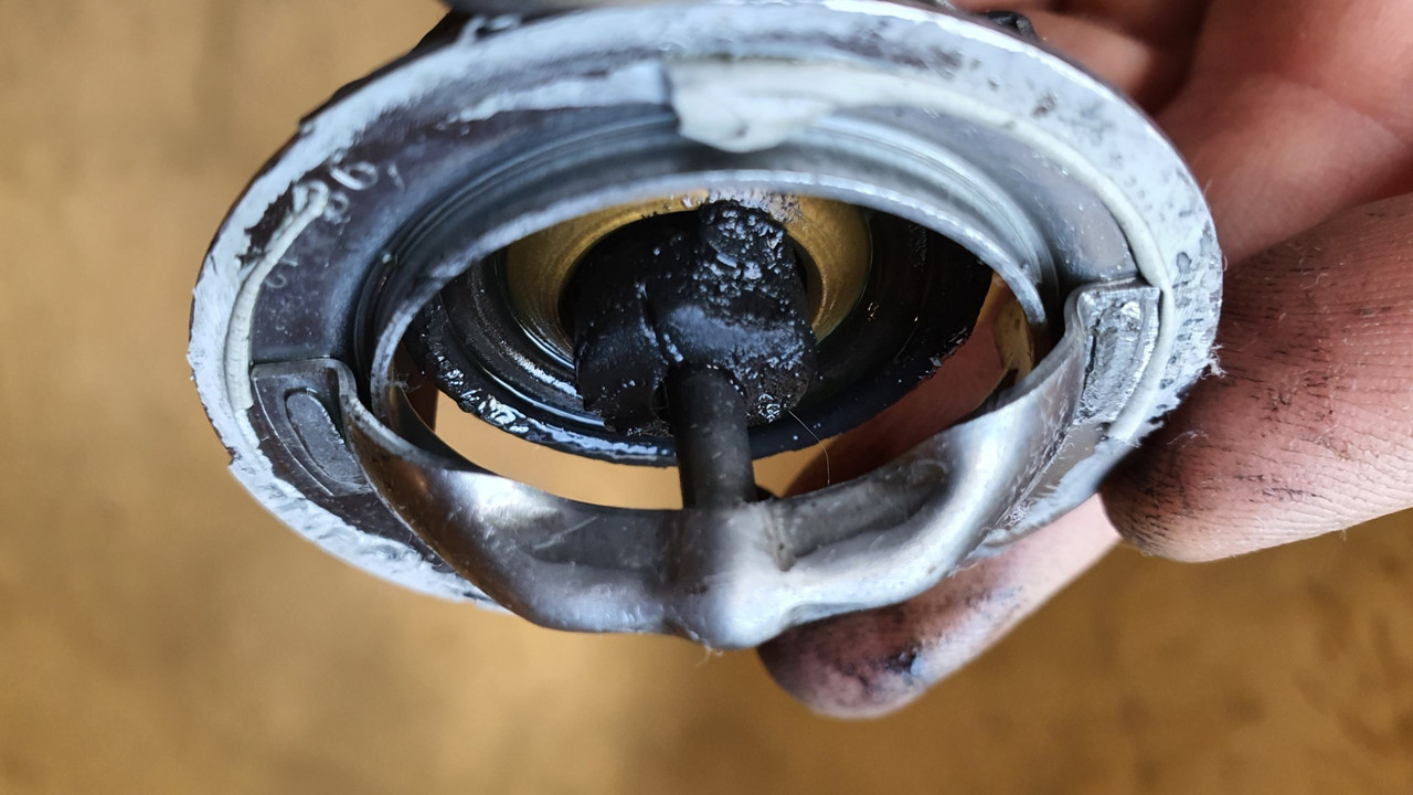 20220510_155725 (Large)