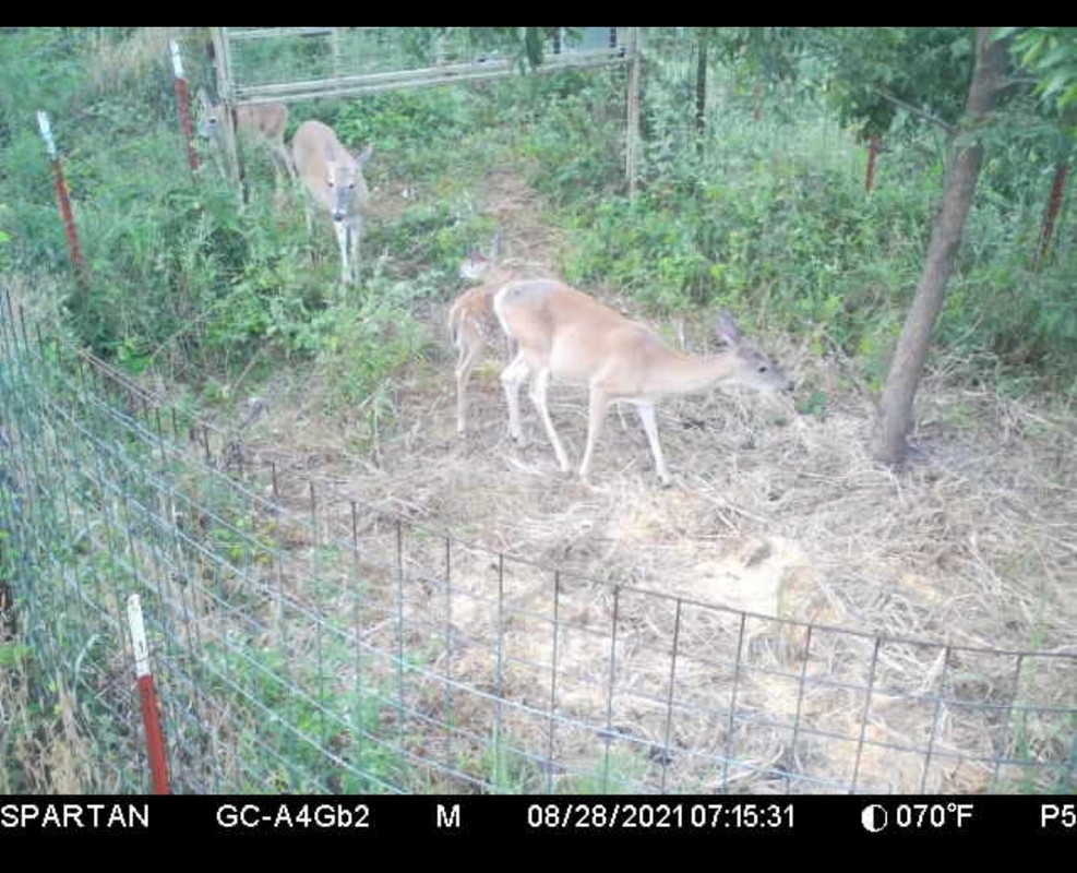 Screenshot_20210828-205524_Yahoo Mail