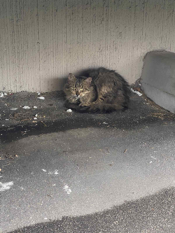 BF7C0A4A-ACE7-4434-A68C-9640B80B3CF7