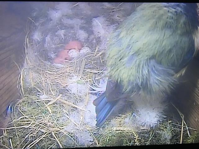 27A15861-2CA1-4757-AA70-B153B338A022