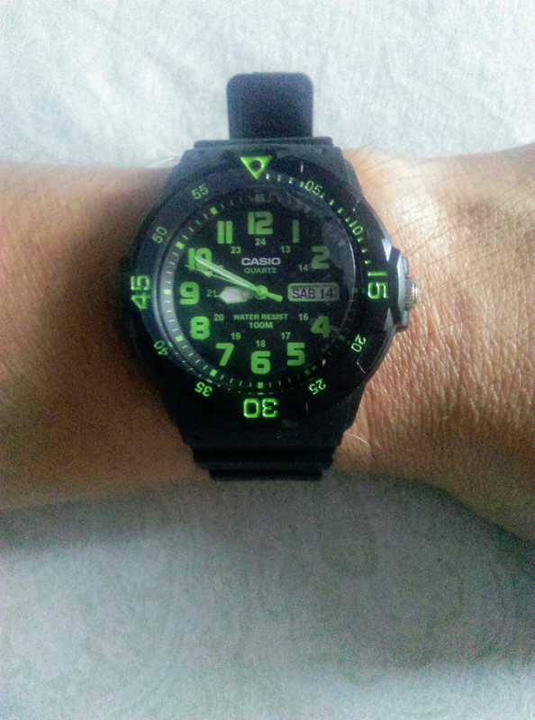 IMAG2263~2