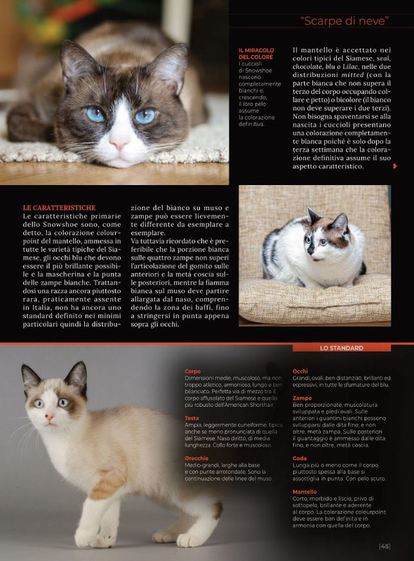 Ga Ma Ago-Set 2022 (6)