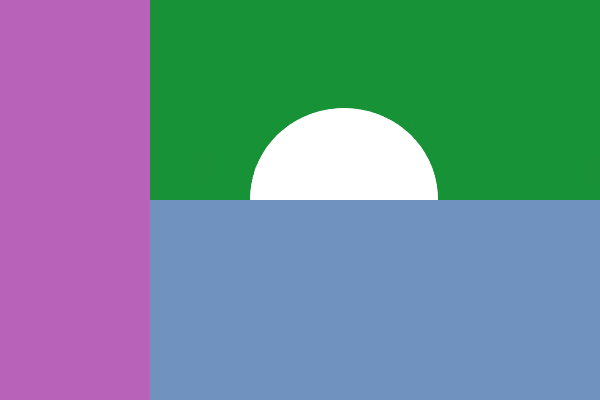 Drapeau IDA