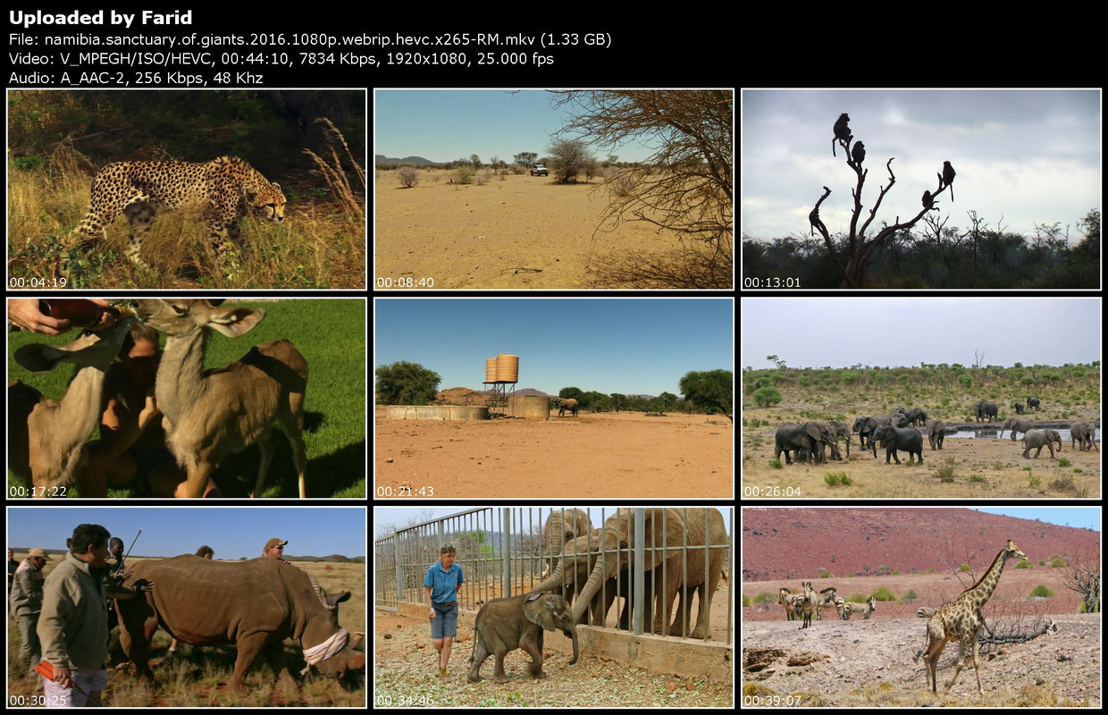 namibia-sanctuary-of-giants-2016-1080p-webrip-hevc-x265-RM.jpg