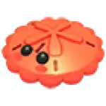Red Sand Dollar