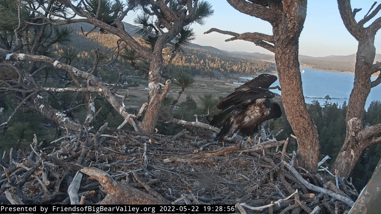 Webp.net-gifmaker (3)