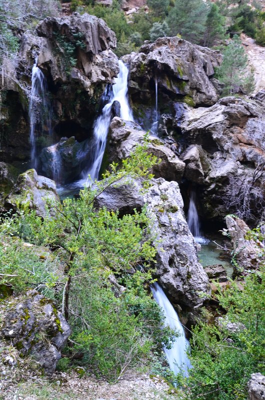RUTA RIO BOROSA-12-3-2016-JAEN - Paseando por España-1991/2016 (188)