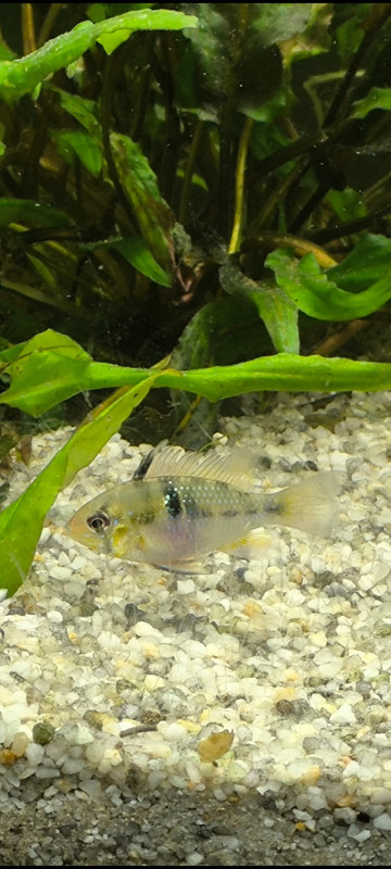 Whats App Image 2025 12 16 at 15 28 38 (3)