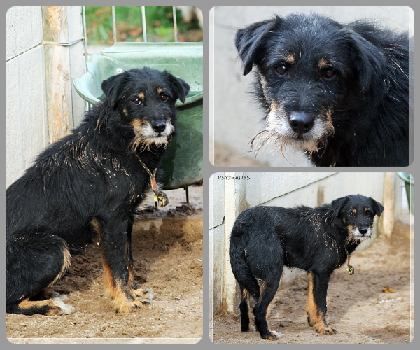 BeFunky-collage (20)