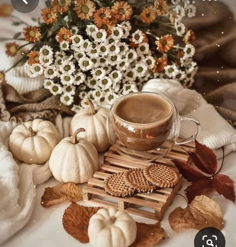 Screenshot_20230819_222736_Pinterest