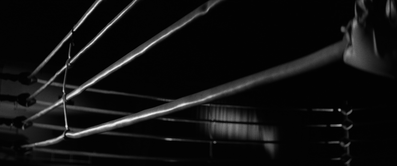 vlcsnap-2025-01-21-03h14m16s280