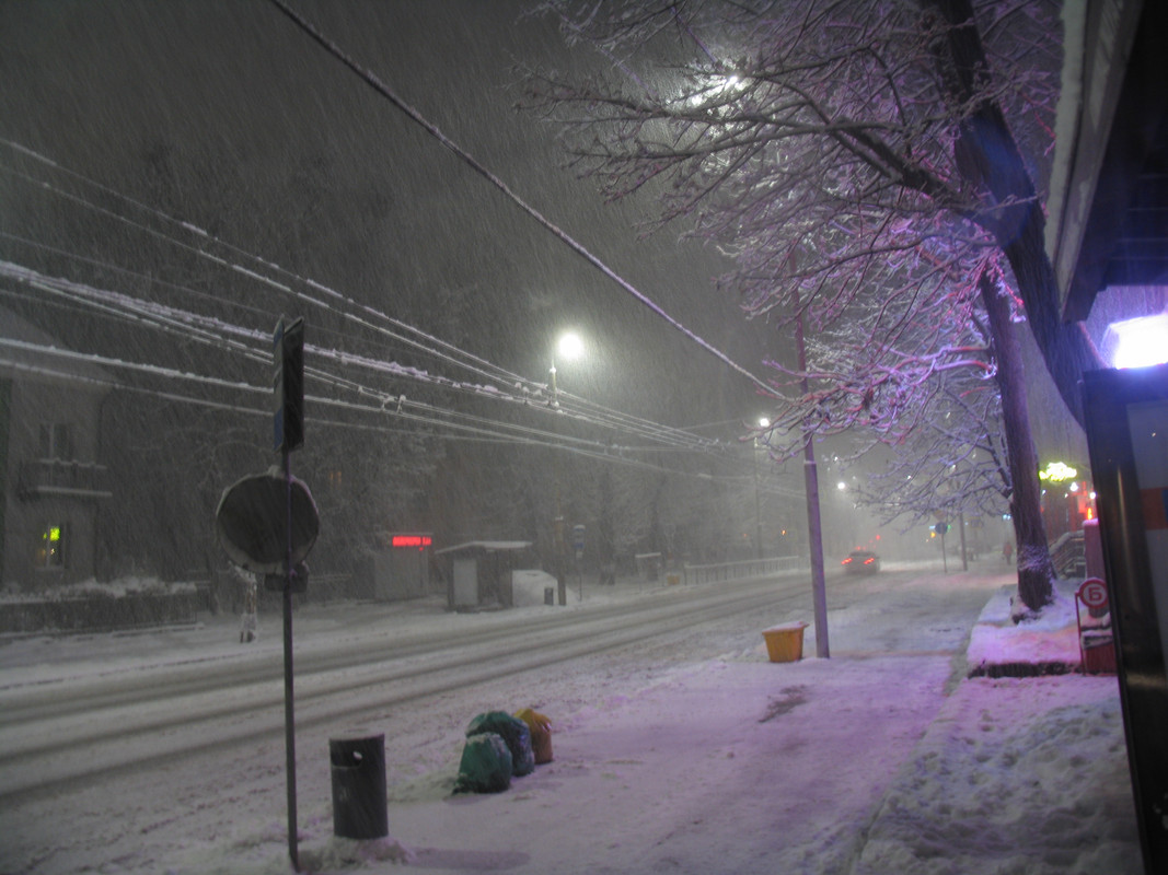 Ноябрь2023 043