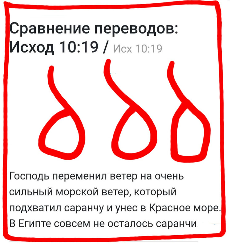 https://i.postimg.cc/Rhpttptk/image-merge-1720332220791-png.jpg