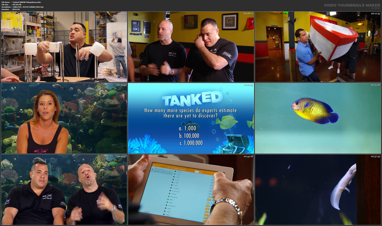 Tanked S08E08 Fishapalooza.mkv