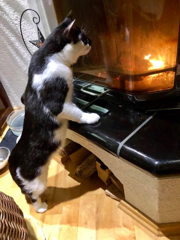 Зиг-заг Макряк 6