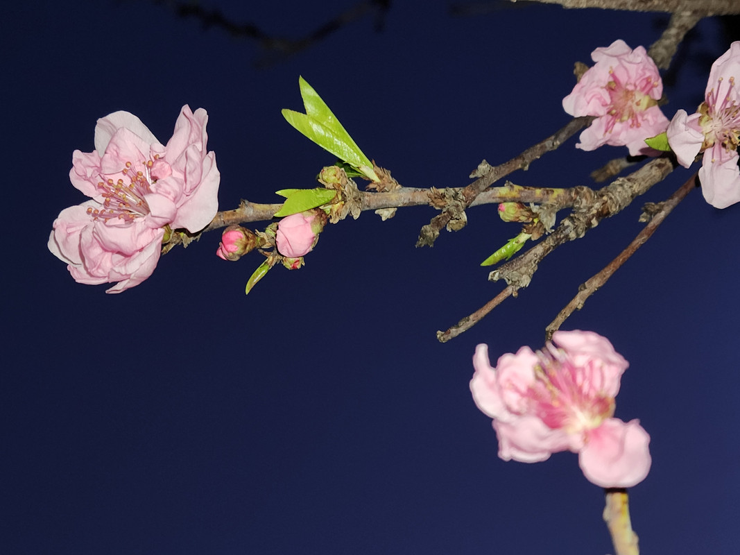 [Image: 20230122-174020.jpg]