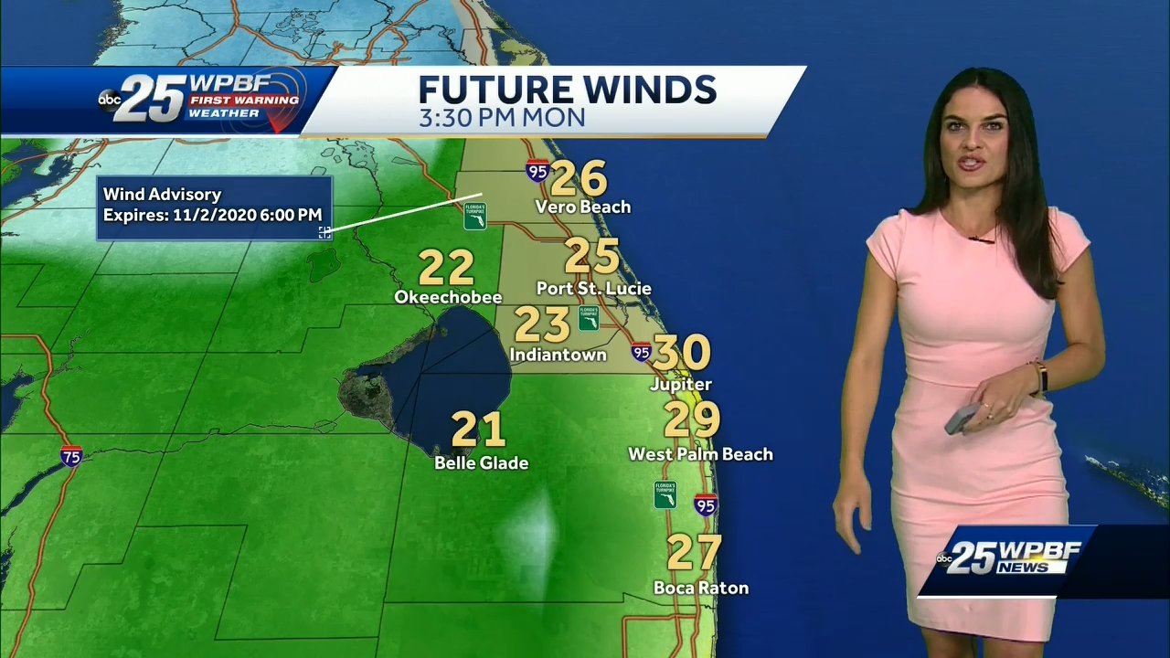 11.02 - 04.00.00 - WPBF 25 News..ts_snapshot_00.25.35.920