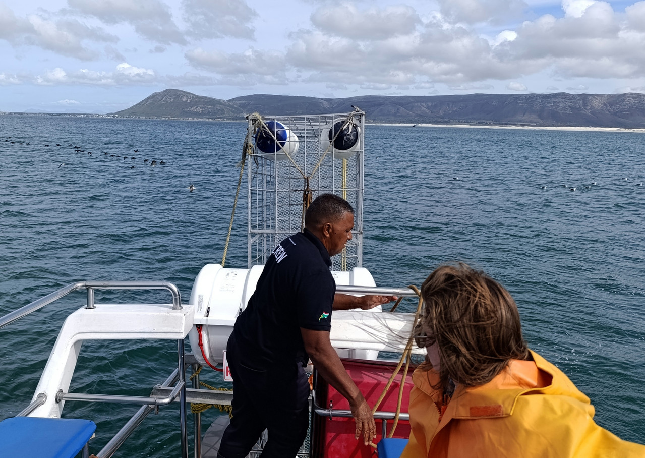 Такая близкая Африка. (ЮАР. 22 дня и 4200 км. Ноябрь-Декабрь)