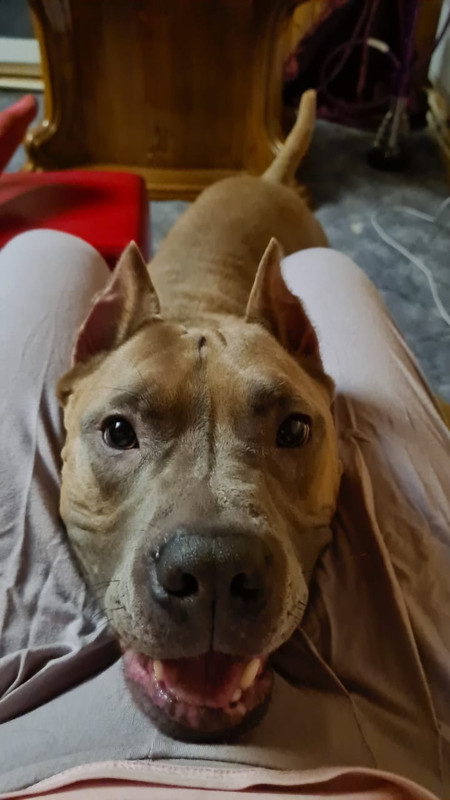 3F940A89-B36B-4A4B-9DB7-5C3AB6097E78