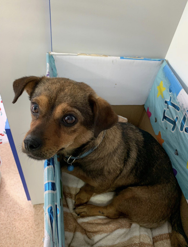 987C64FB-F6E3-4668-AB62-415E0E8D7828