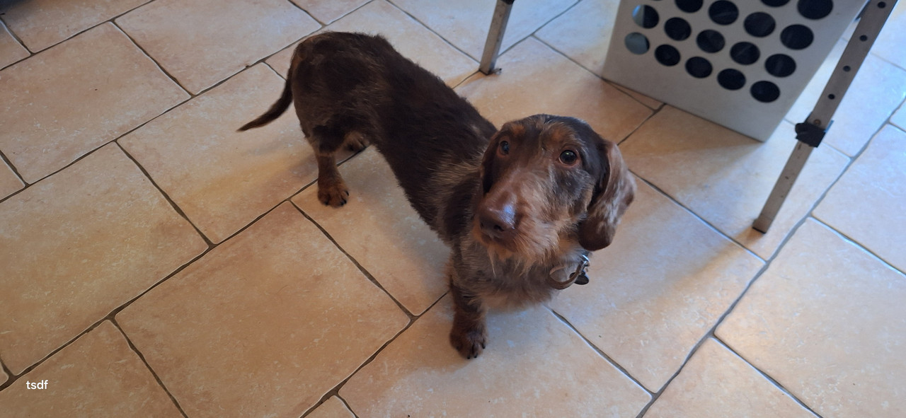 [Image: 20250305-141130.jpg]