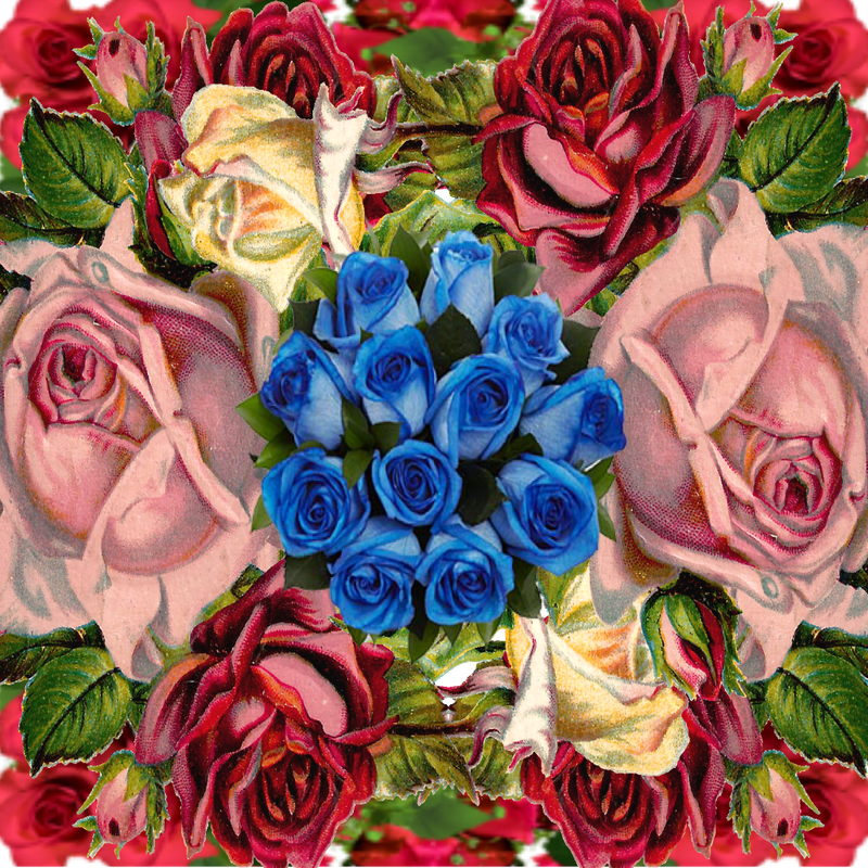 ROSE_COLLAGE_02