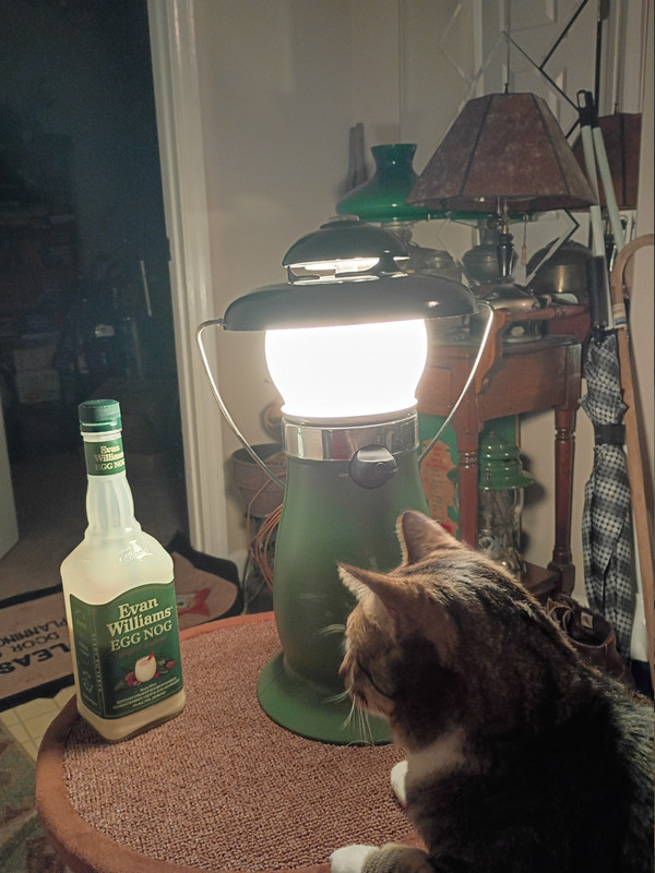 IMG 20251219 202520116 HDR