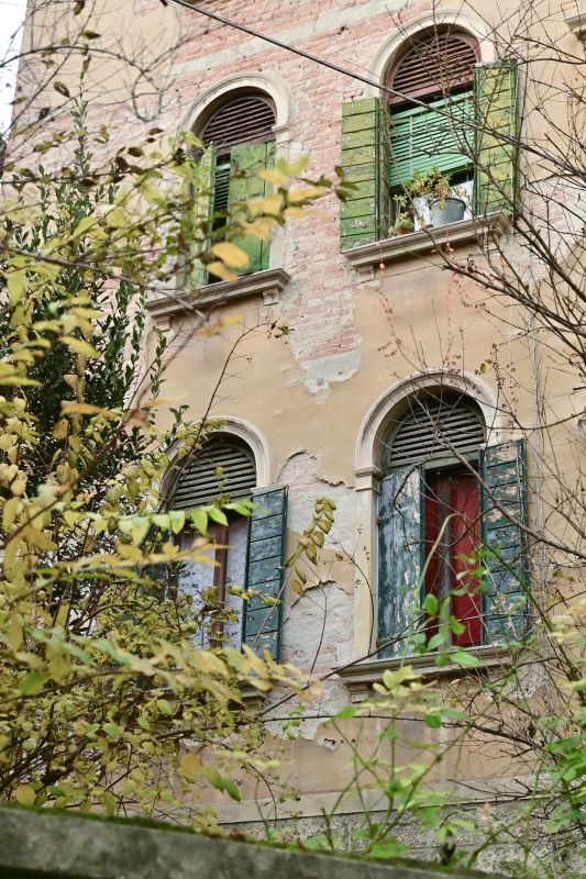 Día 4 (I): Cannaregio - Invierno en Venecia (12)