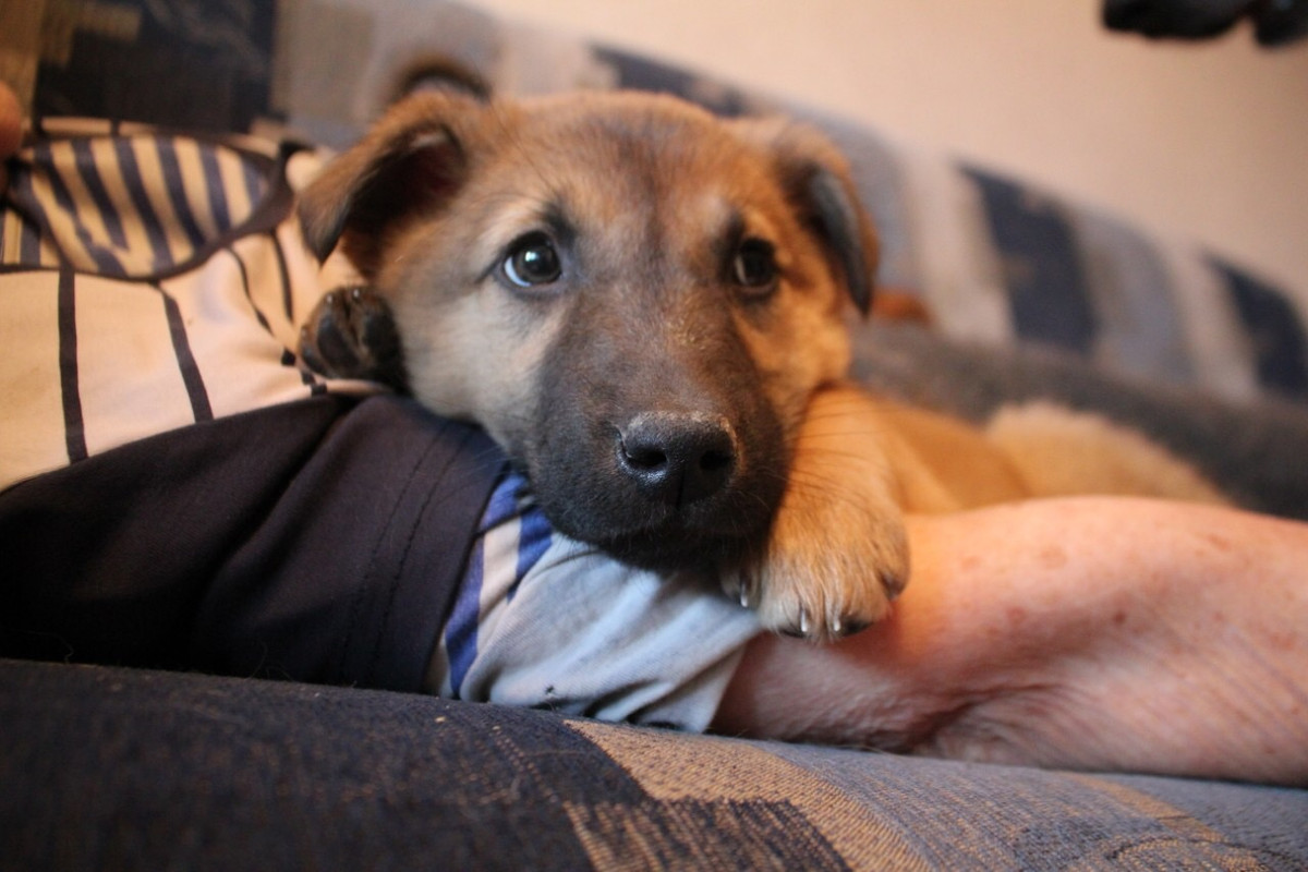 BA9DAF1F-E7F5-4B04-8E02-E9FBAD12C4BF