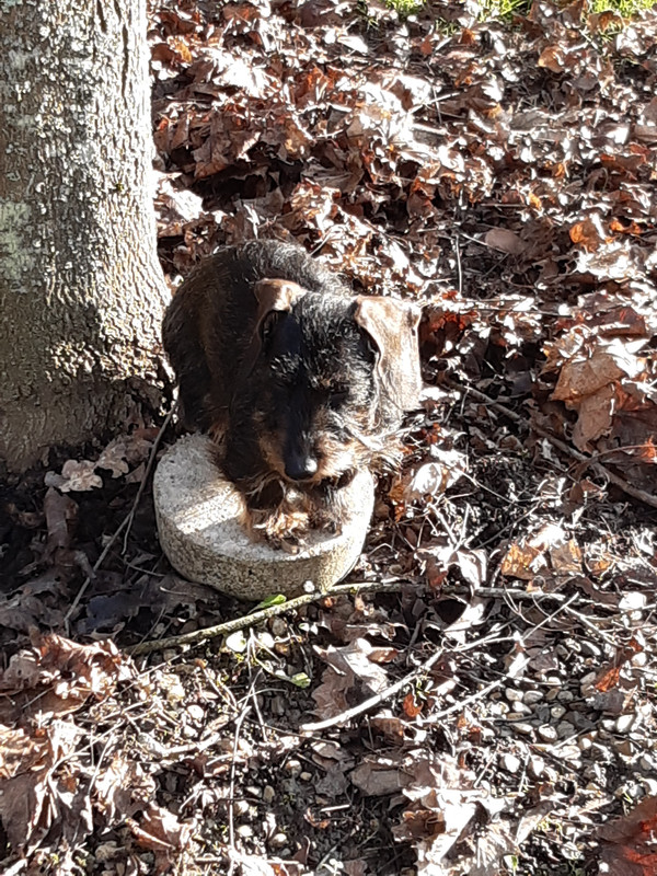 [Image: 20230120-152023.jpg]