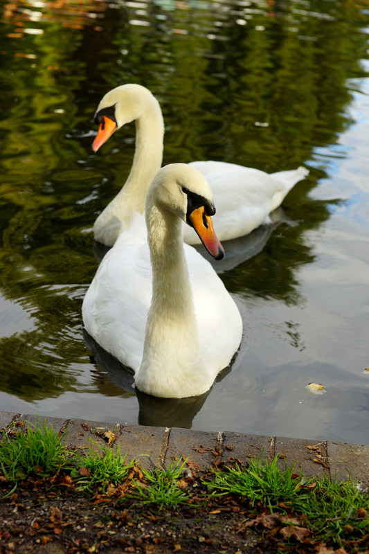DSC00163-2.jpg