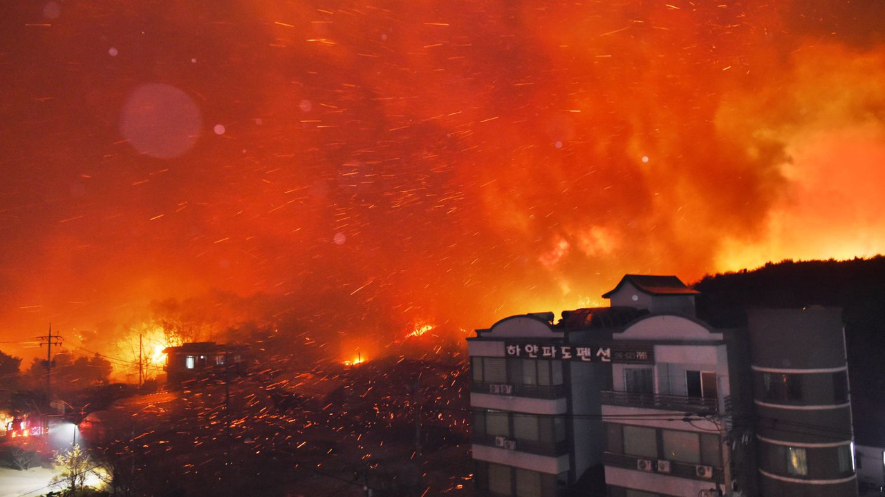 Corea del Sur declara más zonas de desastre por incendios forestales
