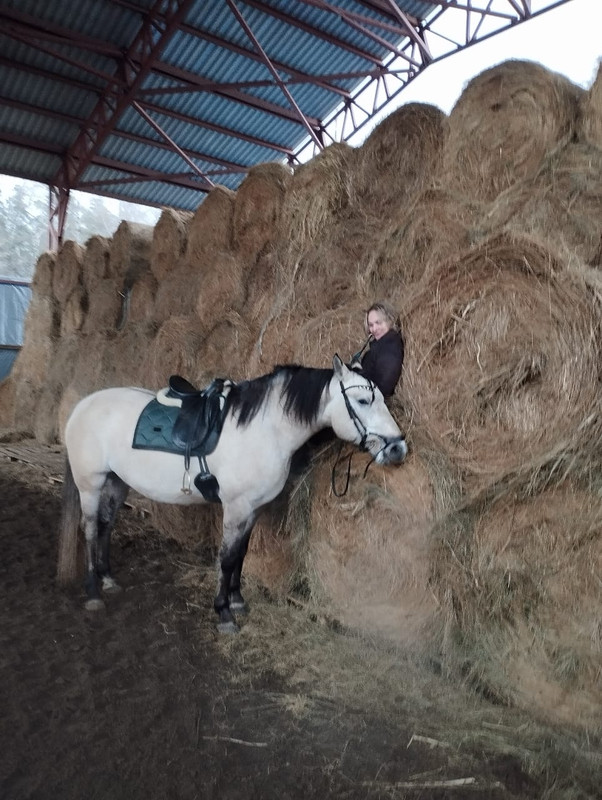 BAD8B85A-6735-4B0C-A36B-F7DEFDBD7A18