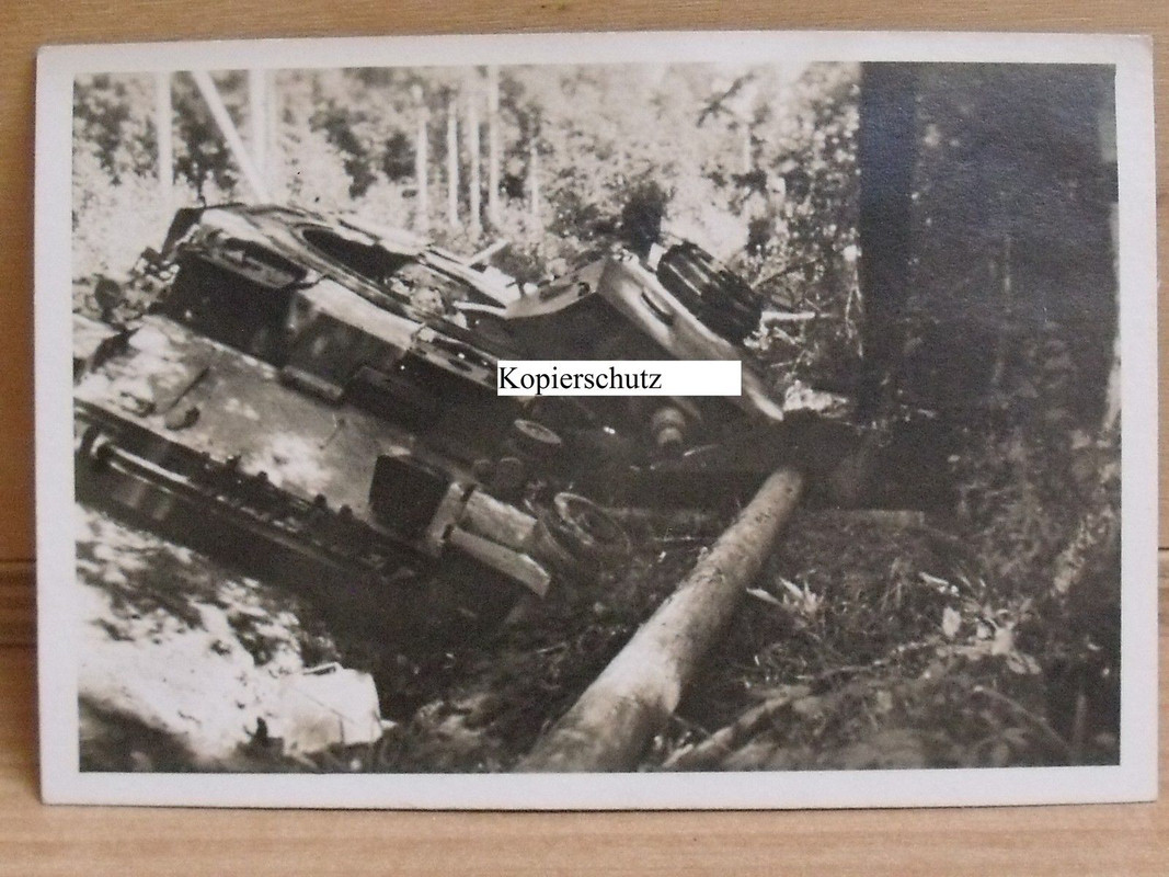 Panzer - Tank -Char - zerstörter Panzer - abgesc