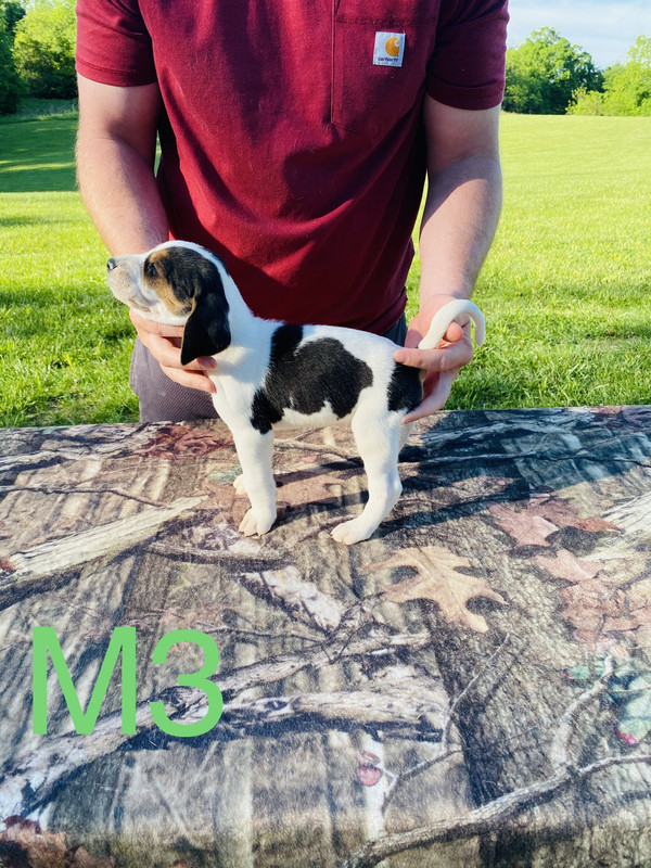 015F2950-6755-4034-A973-E1D1D533CEE0