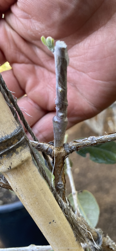 0DA9C12F-21C7-4ABD-977B-0CC41D1A1C61