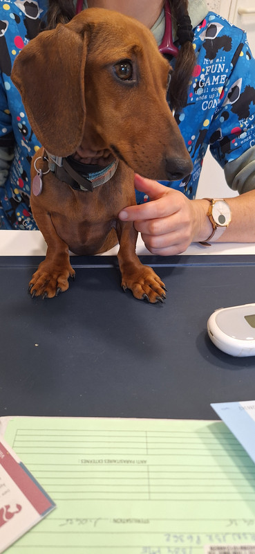 [Image: 20251007-164557.jpg]