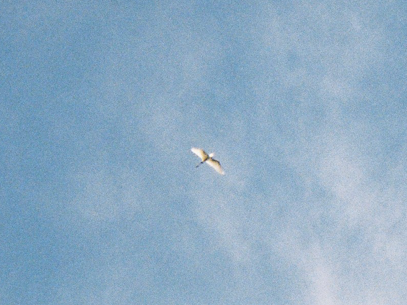 Kodak2-52-crop